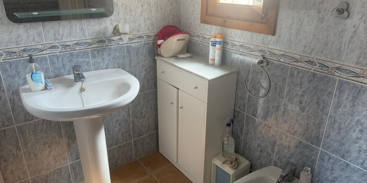 ShowFeedImage