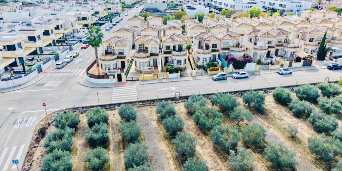 ShowFeedImage